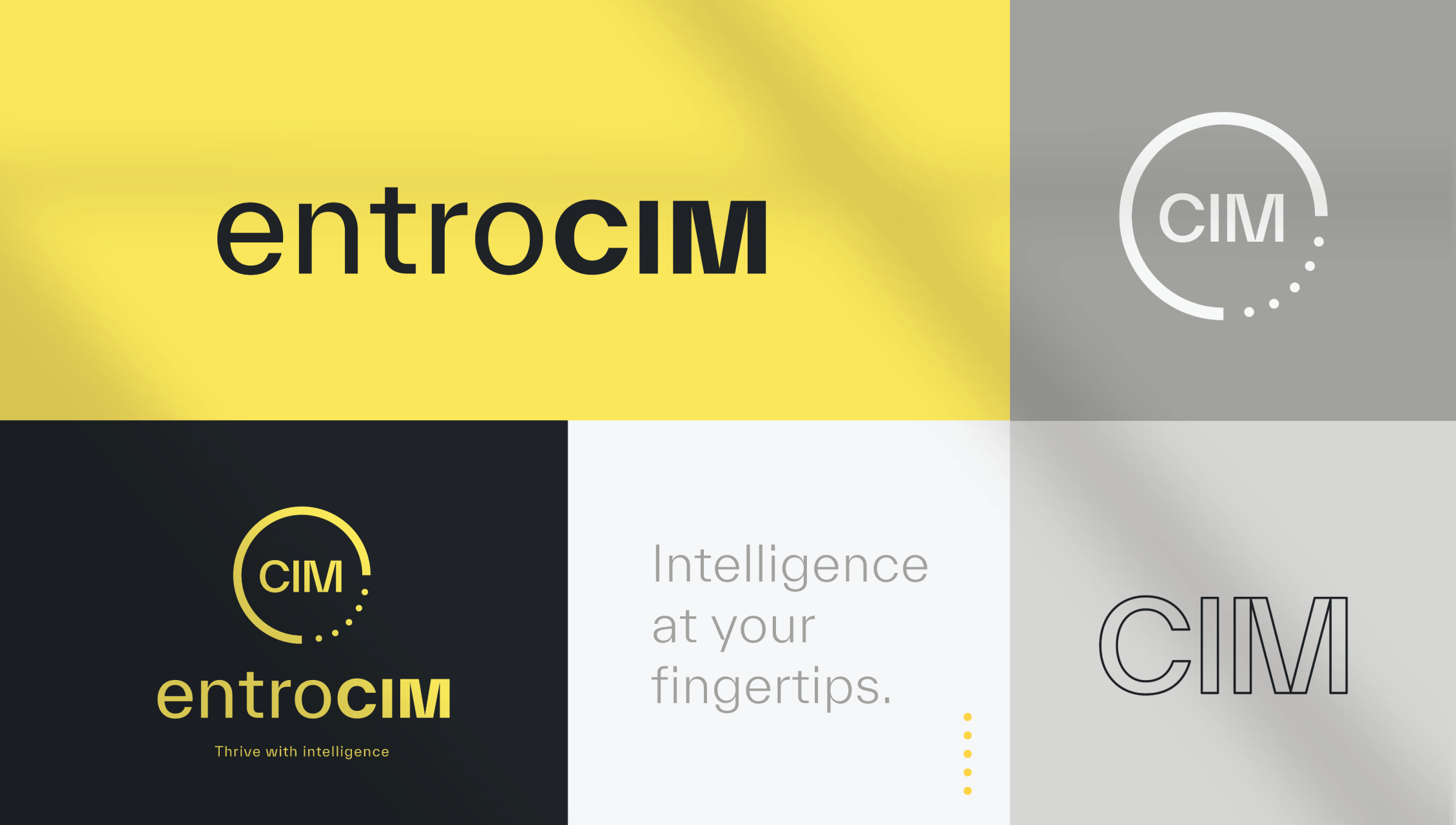 EntroCIM - Brand Guide - V1 1